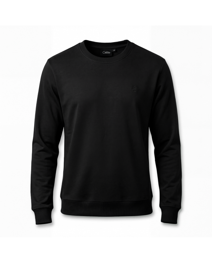 Cravate.tn | Pull col rond en coton - Noir