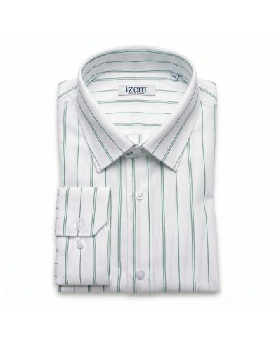 Chemise grande taille