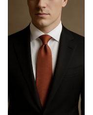 Cravate.tn | Cravate rouge brique faux uni